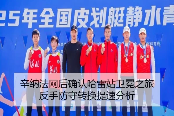 xin-na-fa-wang-hou-que-ren-ha-lei-zhan-wei-mian-zhi-lv-fan-shou-fang-shou-zhuan-huan-ti-su-fen-xi-2-169.jpg